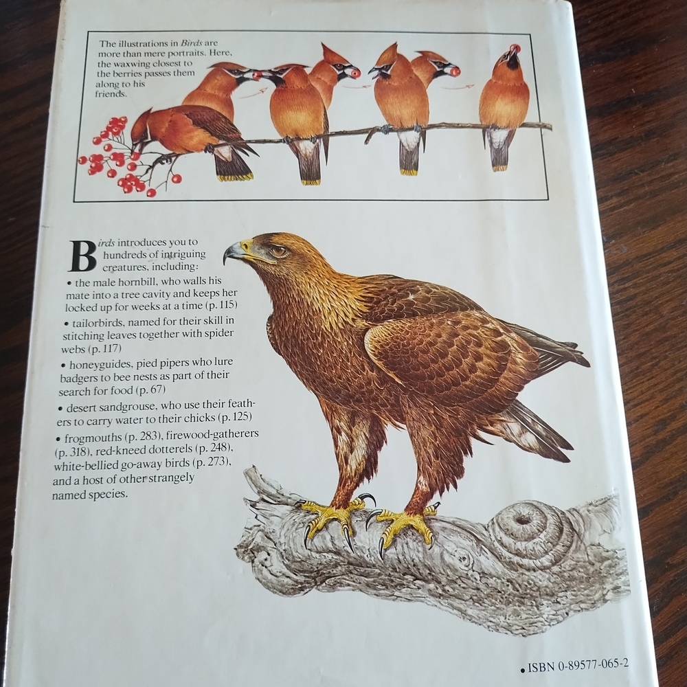 Birds:‎ Their Life, Their Ways, Their World Book - Picture 2 of 4